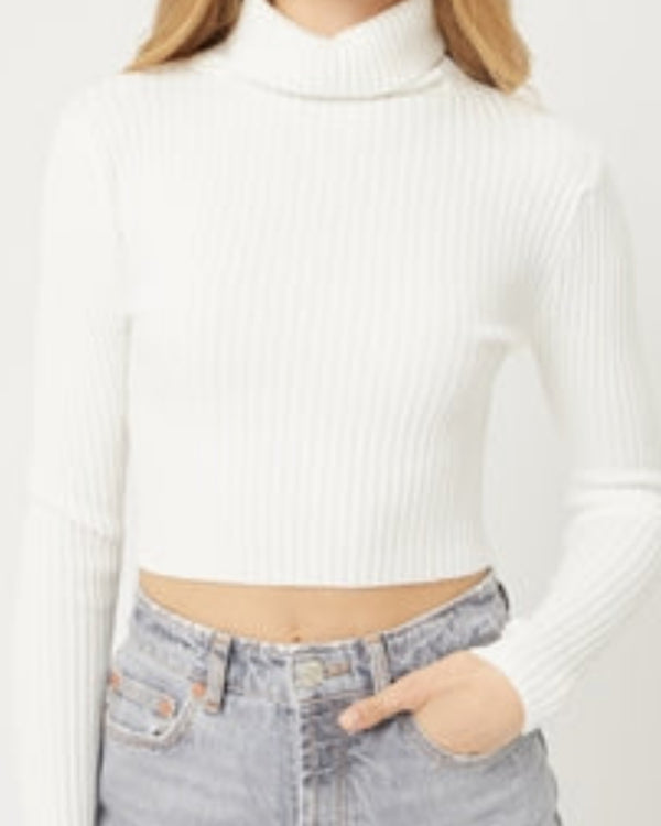 Timeless Turtleneck Sweater Crop Top